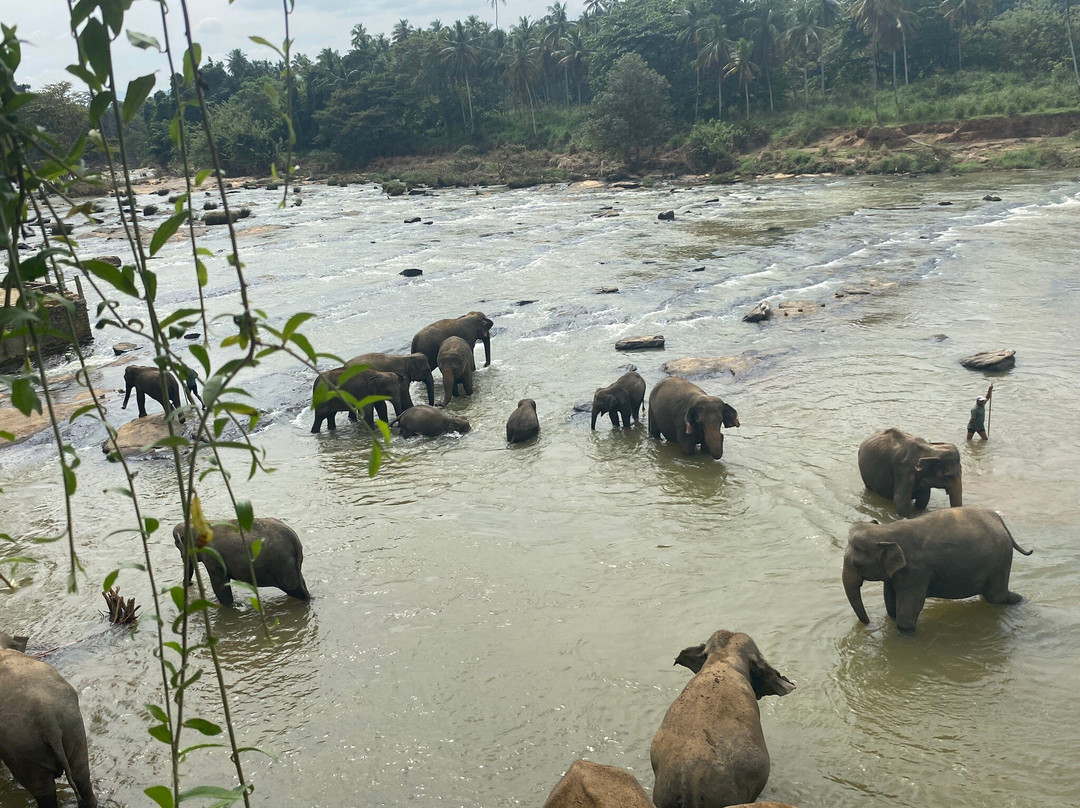 Palm Lanka Tours-Daluwakotuwa必去景点