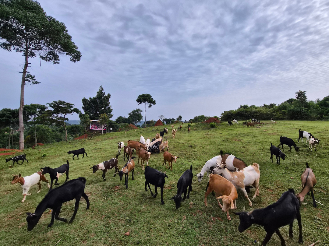 Tukulu Eco Village-Buikwe必去景点