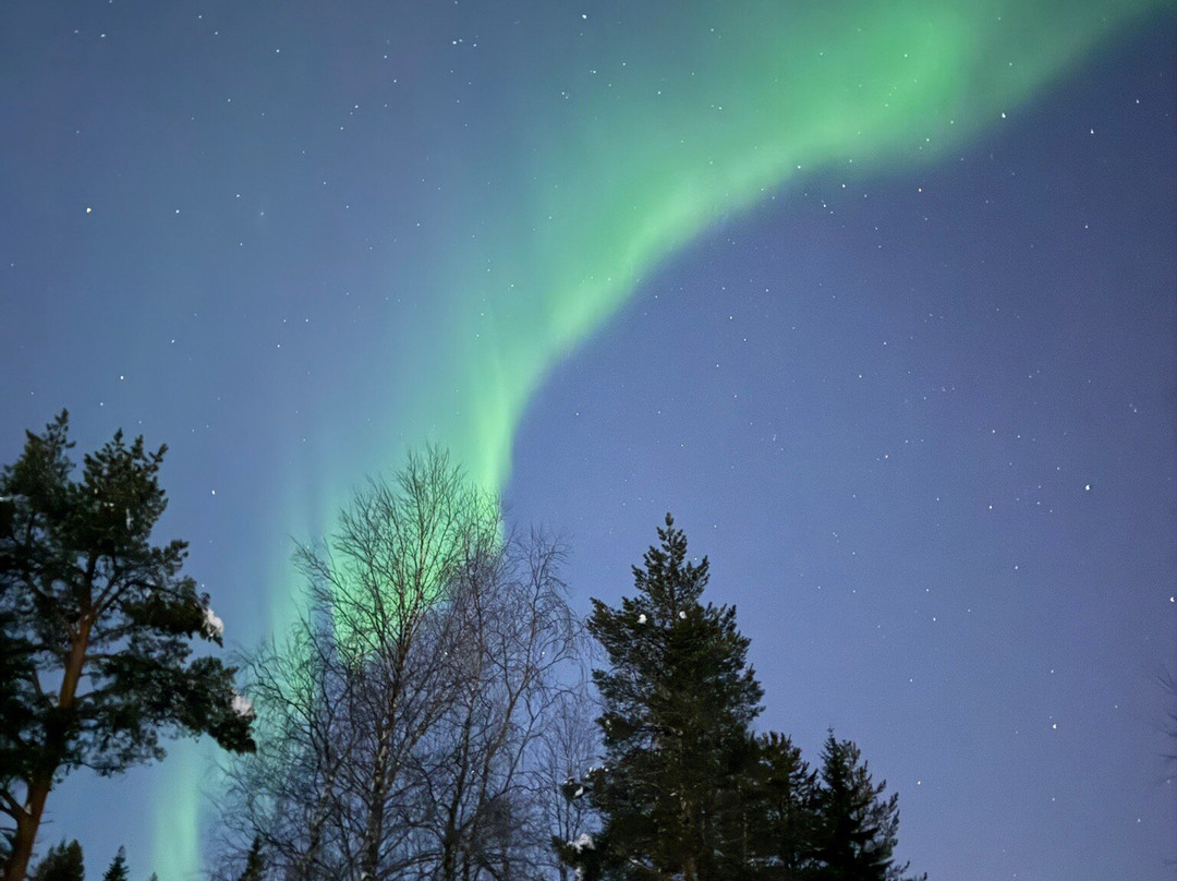 Lapland Private-罗瓦涅米必去景点