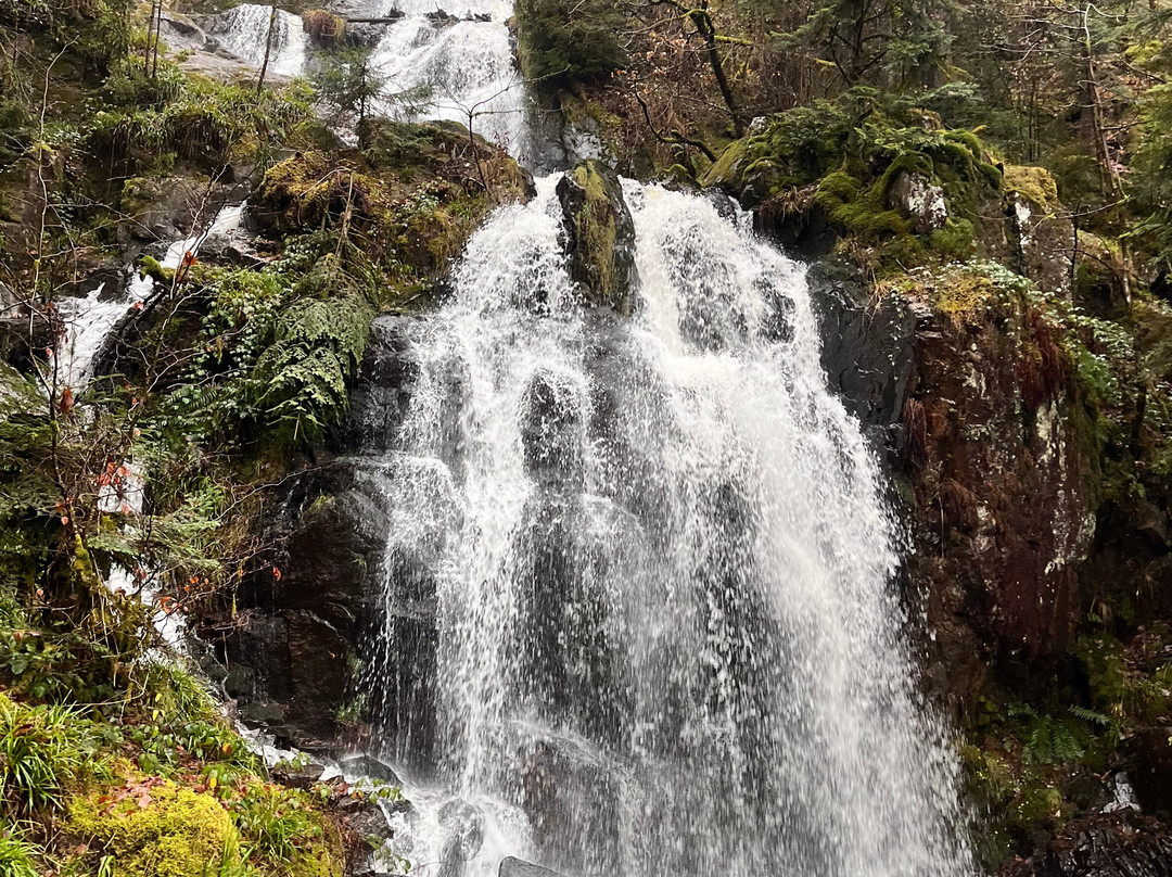 李泽的全景小屋及温泉主图