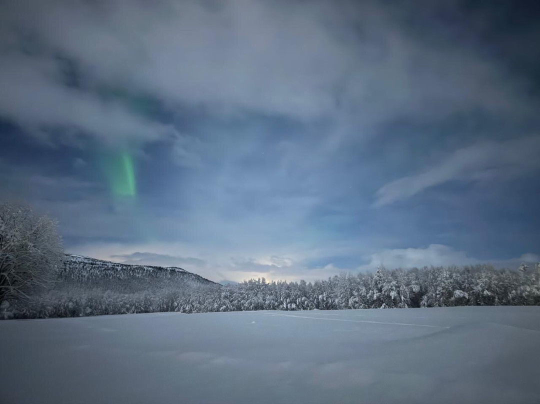 Green Gold of Norway-Troms必去景点