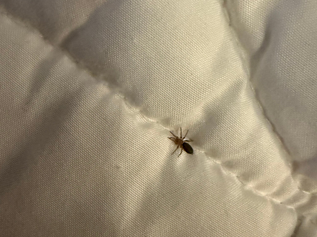 Homewood Suites by Hilton Agoura Hills主图