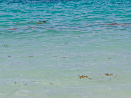 Playa Caracol-坎昆必去景点