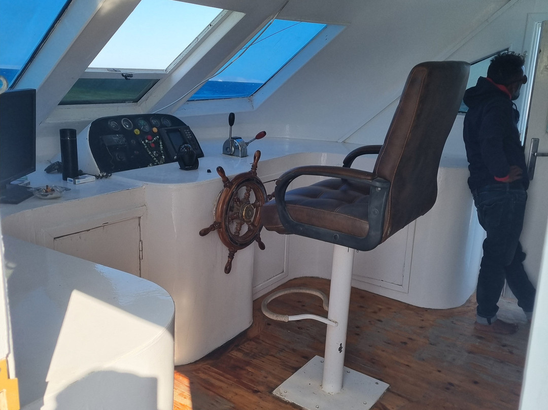 Red Sea Horse Diving-Hurghada 1必去景点