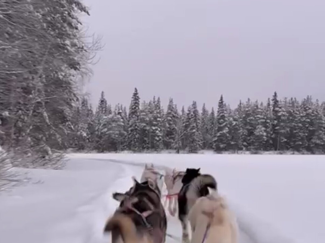 Husky & Yoga Nature-罗瓦涅米必去景点