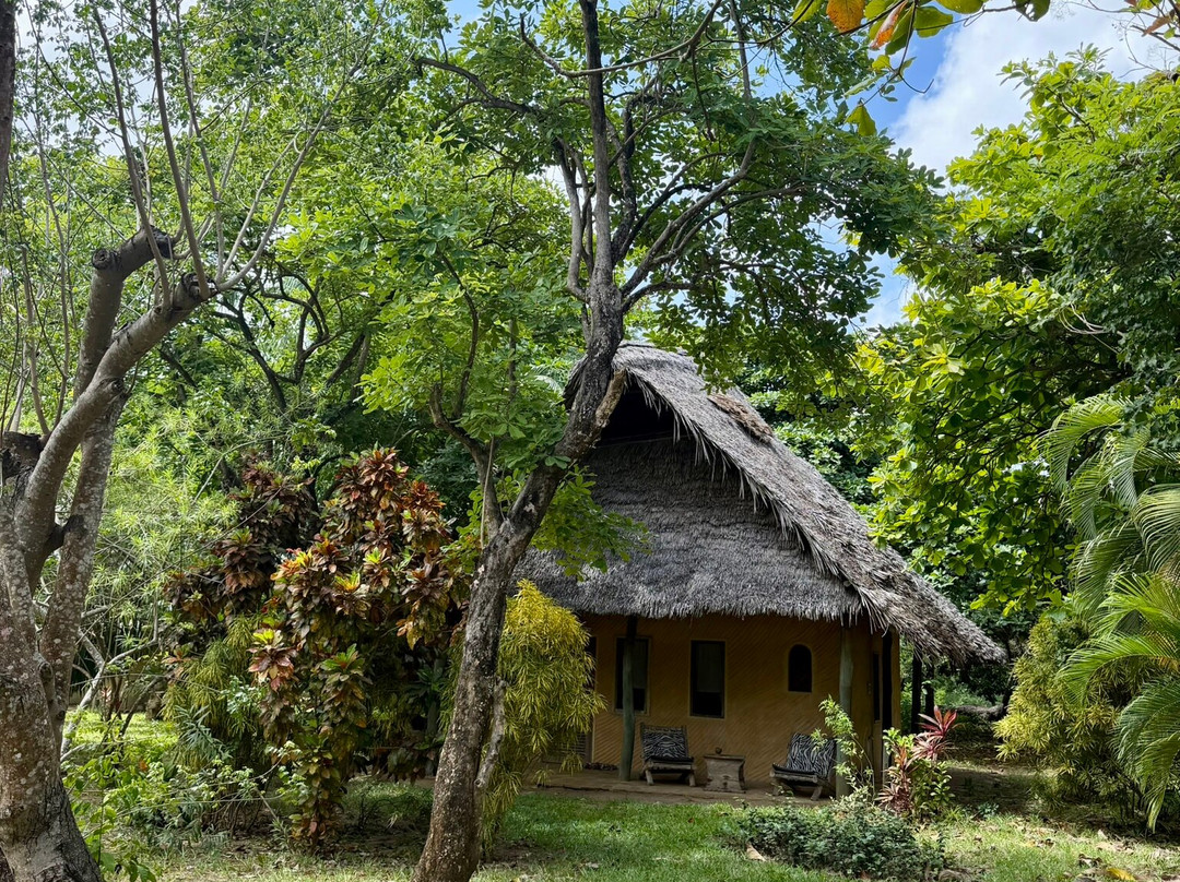 Eco Shamba Kilole Lodge主图