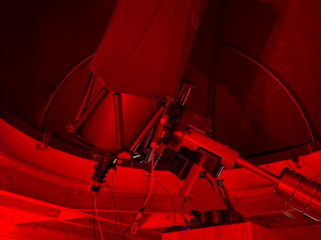 Grizedale Observatory-安布赛德必去景点