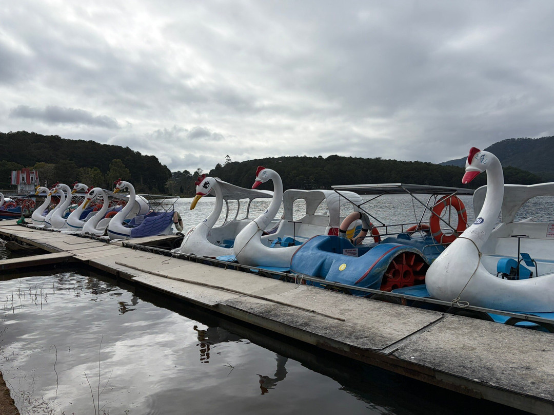 DaLat Day Tours-大勒必去景点