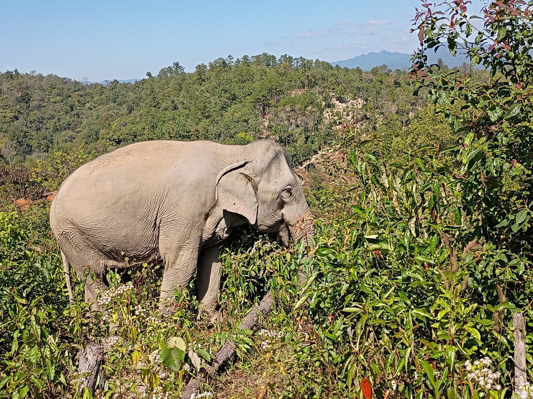 Chang Chill-Mae Win必去景点