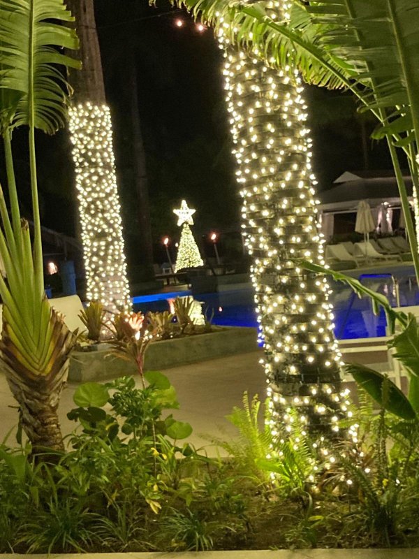 Couples Resorts Negril-浴室