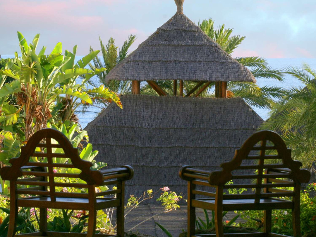 Don Carlos Marbella主图