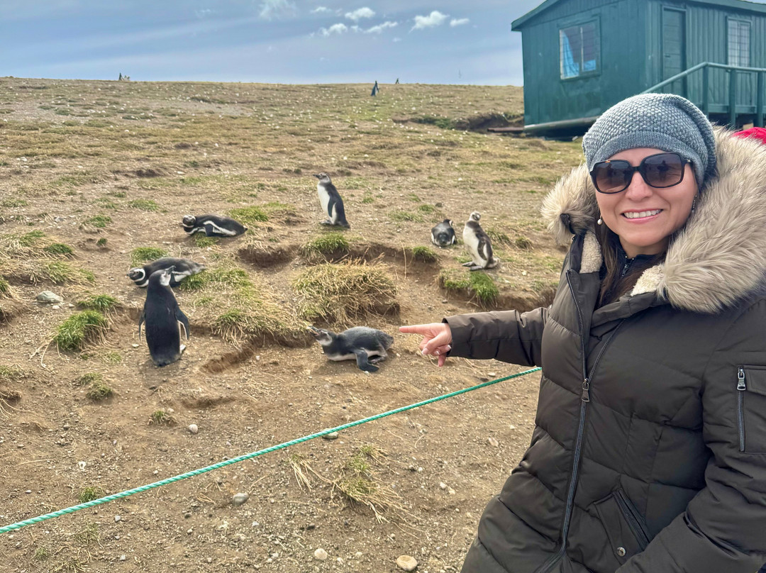 isla magdalena-蓬塔阿雷纳斯必去景点