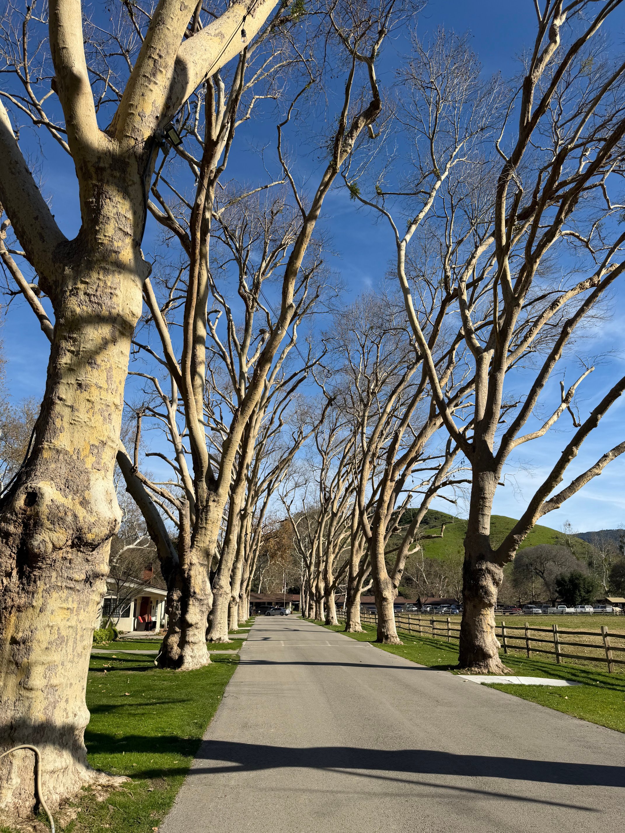 阿利萨度假牧场-浴室