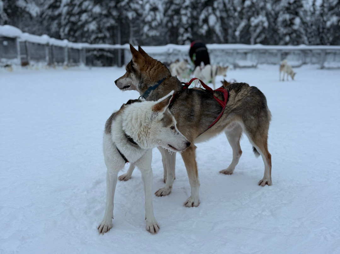 Eanan Levi Tours-Levi必去景点