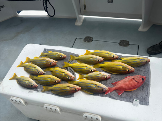 Maui Fun Charters-玛阿拉也亚必去景点