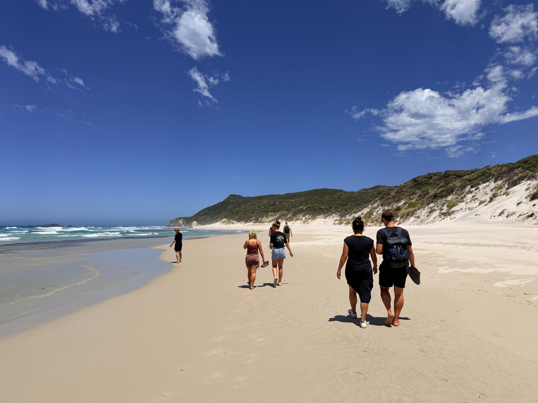 Wow Wilderness Ecocruises-沃泊尔必去景点