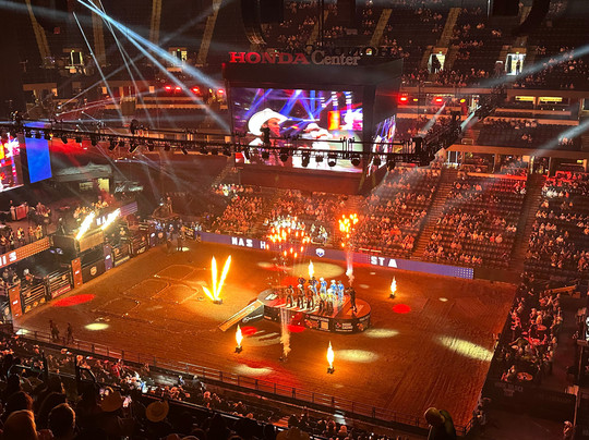 Honda Center-阿纳海姆必去景点