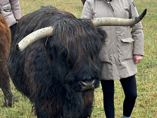 Newton Farm Holidays & Tours主图