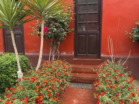 Munarikuy Voyages-伊卡必去景点