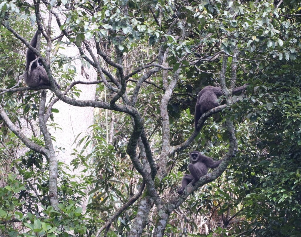 Ujung Kulon Trek-Carita必去景点