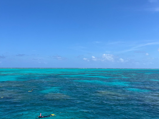 波长礁-道格拉斯港必去景点