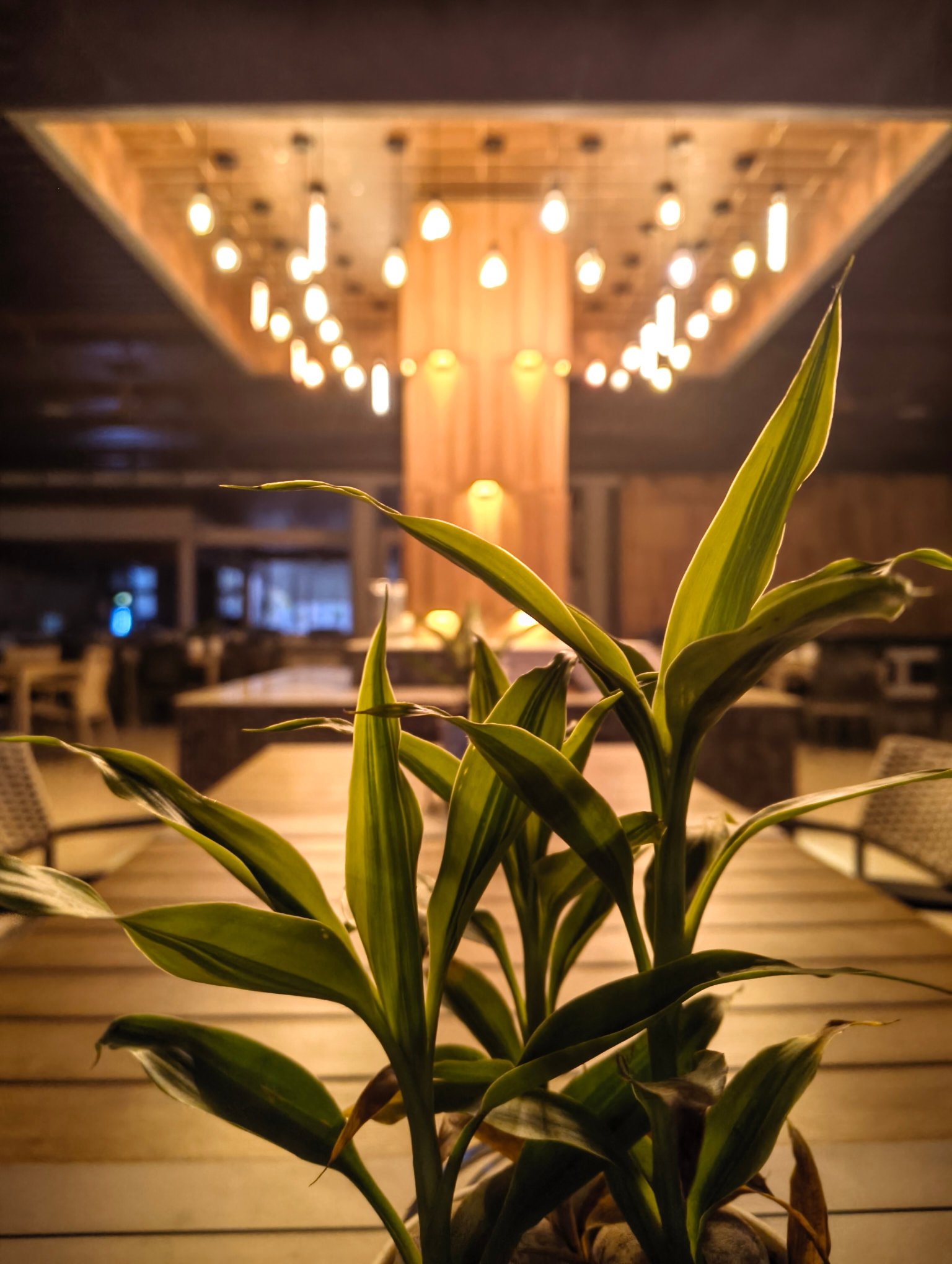 Dream Square Resort-官方