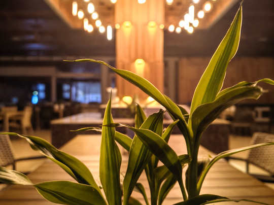 Dream Square Resort主图