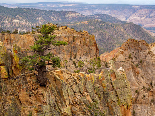 Hell's Backbone Road-埃斯卡兰特必去景点
