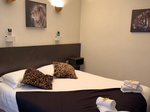 Hotel Le Lion d'Or主图