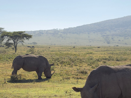 Bigfoot Adventures-内罗毕必去景点