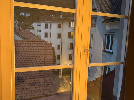 Zunfthaus zur Rebleuten主图