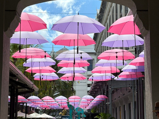 Calypso boat tours Mauritius-蓝湾必去景点