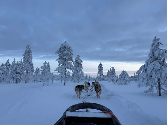 Arctic Circle Husky Park-罗瓦涅米必去景点