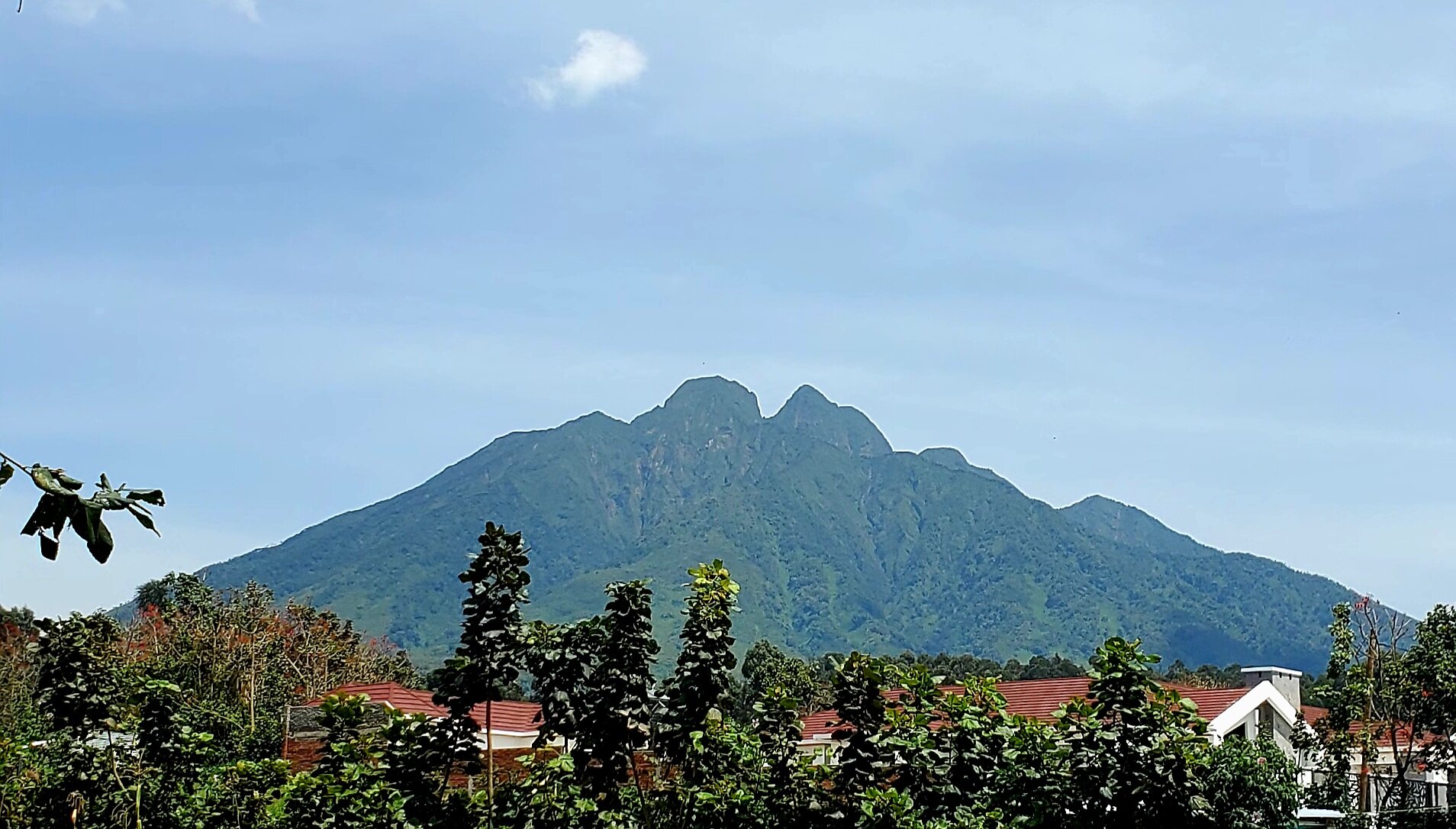 Urugano Virunga Palace-官方