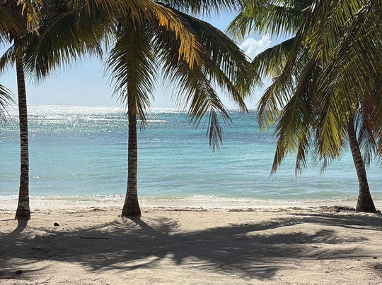 Tropical Paradise Excursions-Bayahibe必去景点