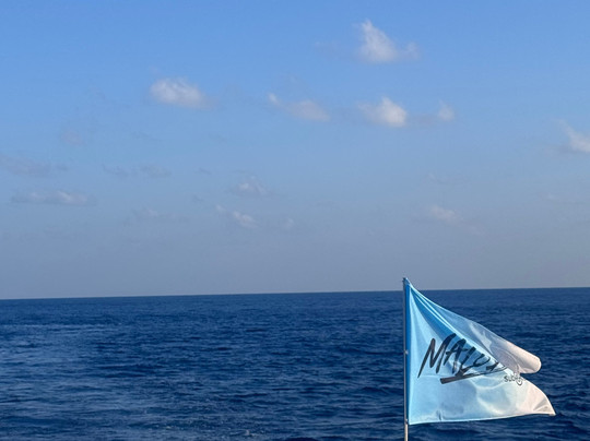 Sub Oceanic Dive Club-幸福岛必去景点