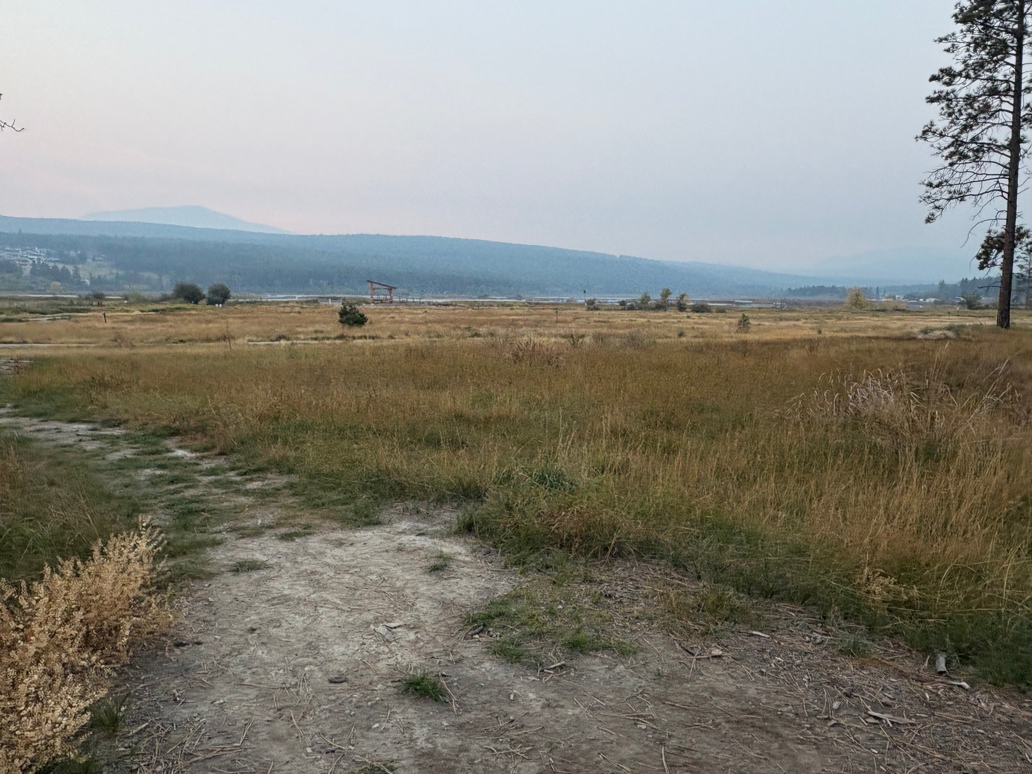 Elizabeth Lake Lodge-酒店景观