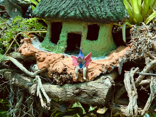 Pixie and Fairy Village-Jacobs Bay必去景点