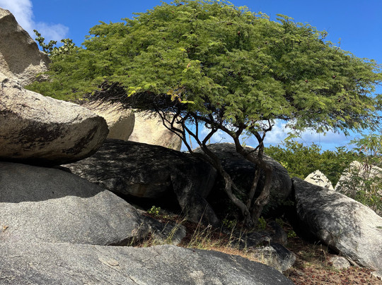 Fofoti Tours & Transfers-奥腊涅斯塔德必去景点