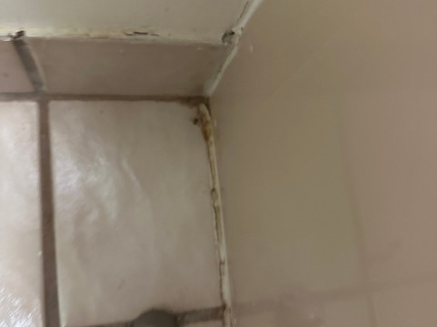 Days Inn by Wyndham Picayune主图