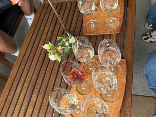 Forrest Wines Cellar Door-伦威克必去景点