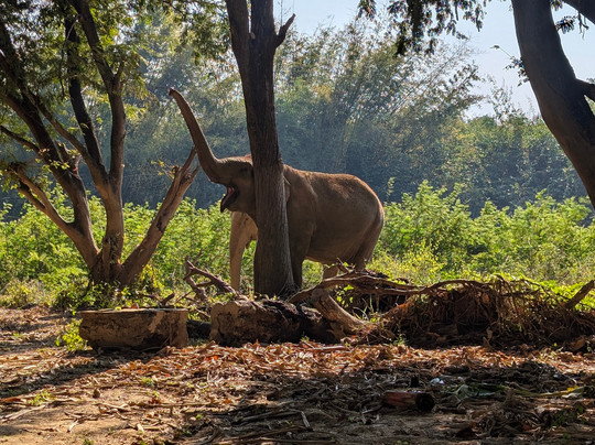Somboon Legacy Foundation-Klon Do必去景点