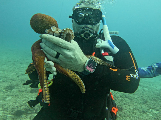 Trident Adventures-火奴鲁鲁必去景点