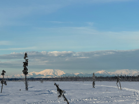 Snowhook Adventure Guides of Alaska-Willow必去景点