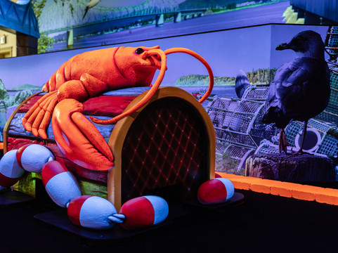 Rec 'n' Roll-Campbellton必去景点