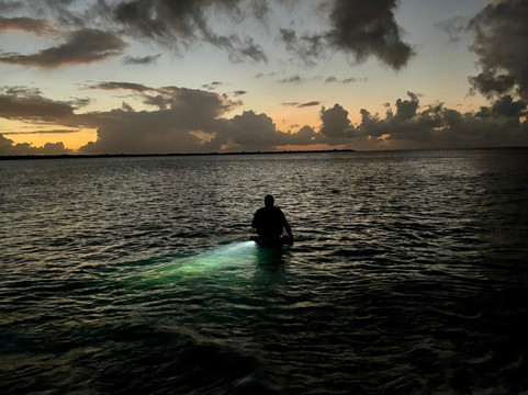 Wannadive Bonaire-Kralendijk必去景点