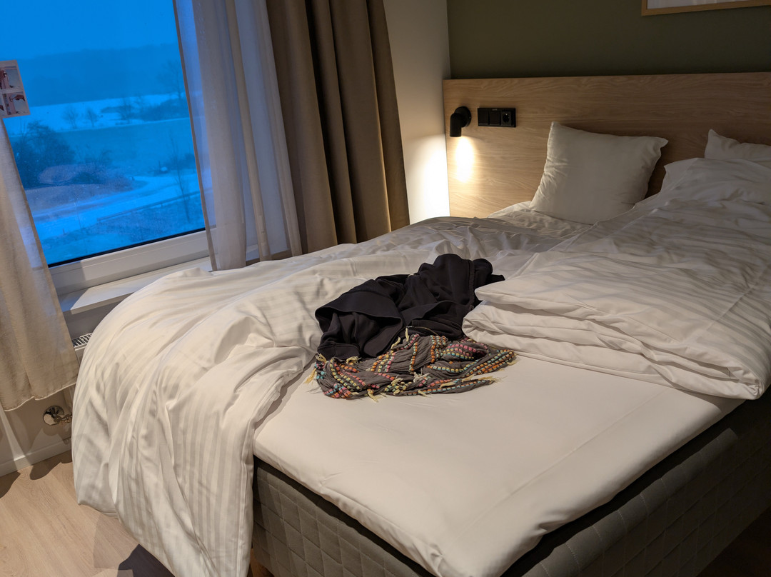 Aiden By Best Western Odense