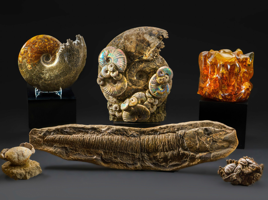 Astro Gallery of Gems Boise Idaho-博伊西必去景点