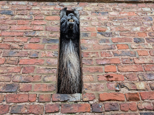 Briery Hill Llamas-Kilcot必去景点