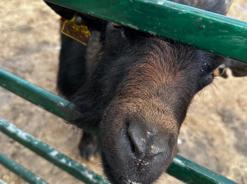 Quinta Fotoplanet Farm-阿尔布赞拉必去景点